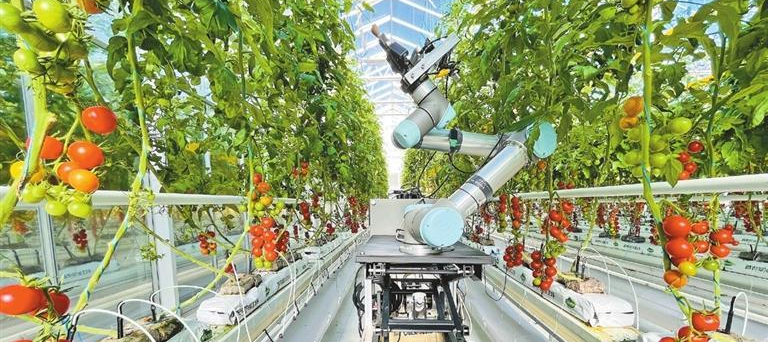 China apresenta robô GEAIR com IA para agricultura